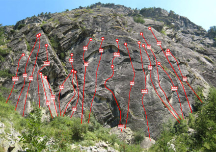 minitopo