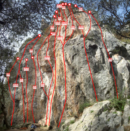 minitopo