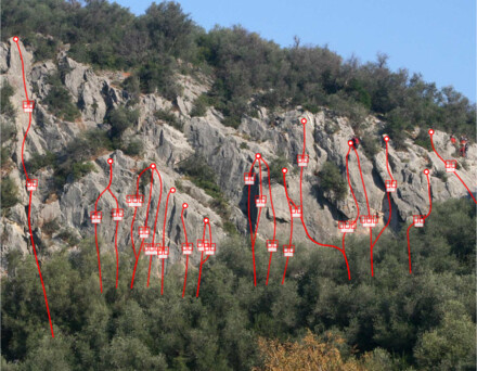 minitopo