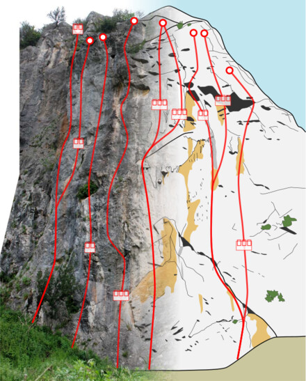 minitopo