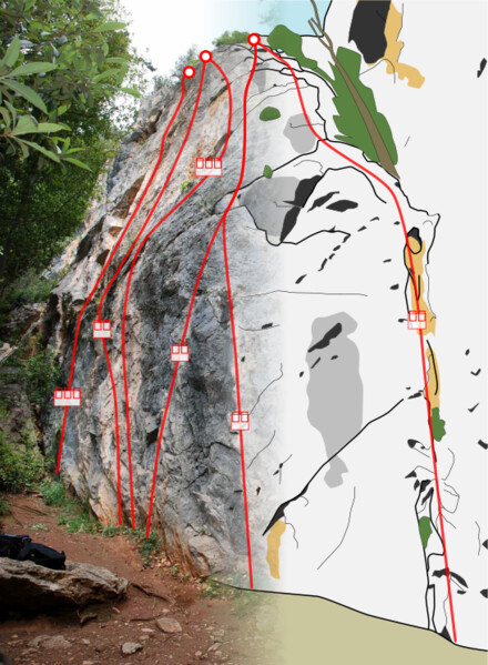 minitopo