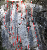 Castagni (destra)