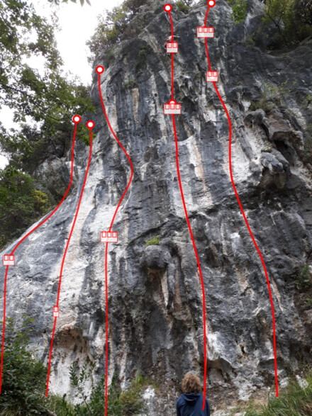 minitopo
