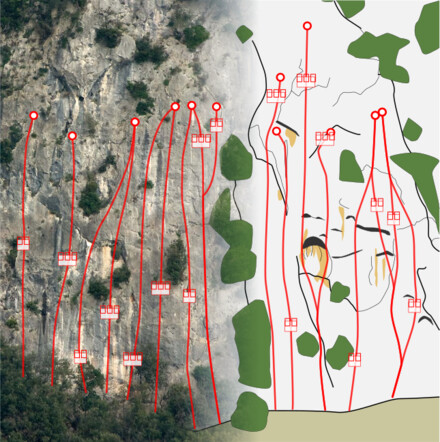 minitopo
