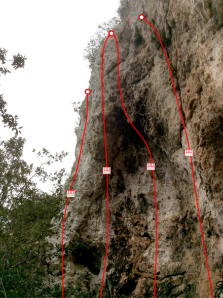 minitopo