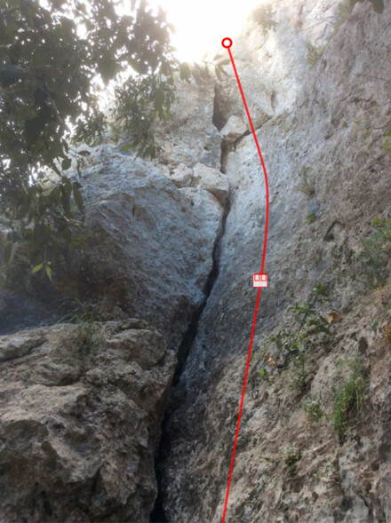 minitopo