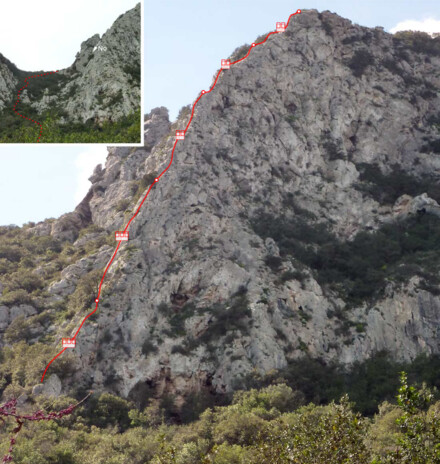 minitopo