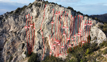 minitopo