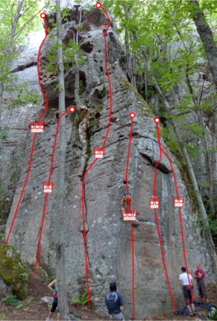 minitopo