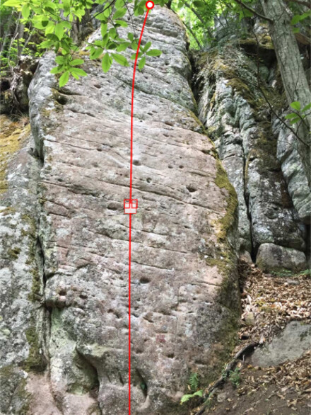minitopo