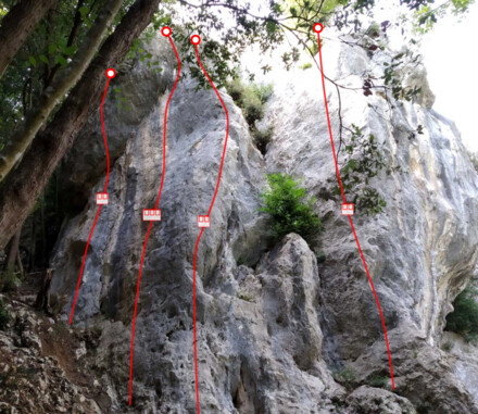 minitopo