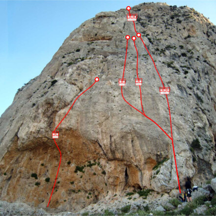 minitopo