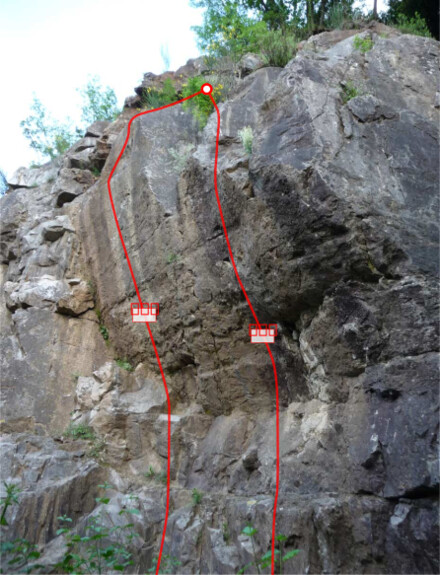 minitopo