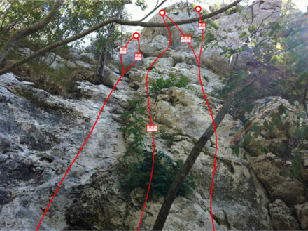 minitopo
