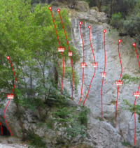Rabo (sinistra)
