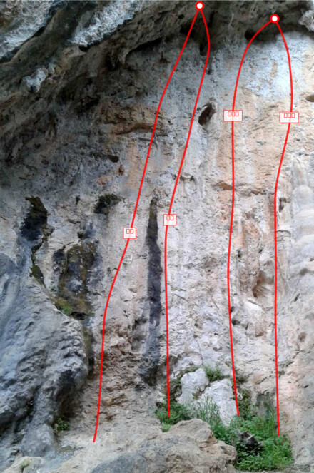 minitopo