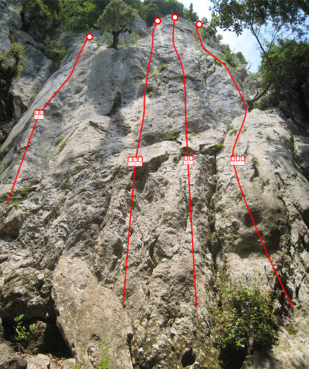 minitopo