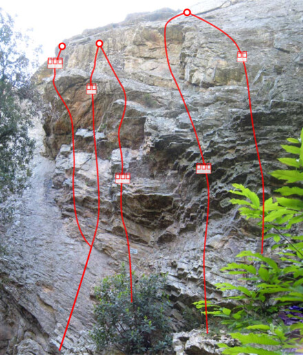 minitopo
