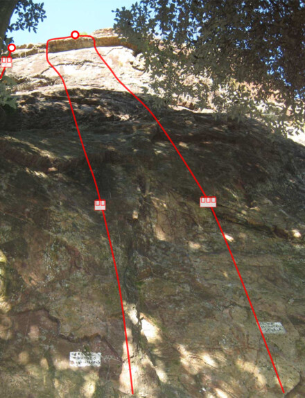minitopo