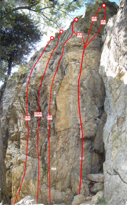 minitopo