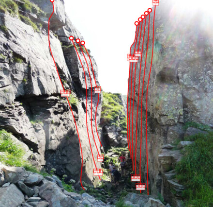 minitopo