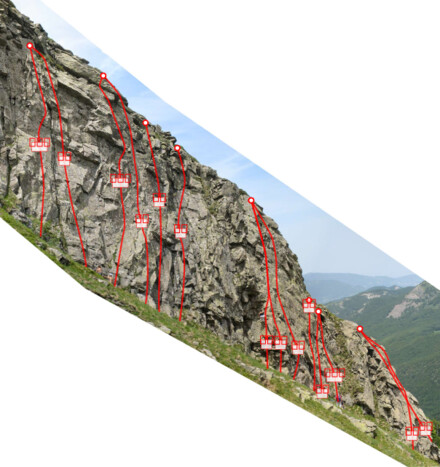 minitopo