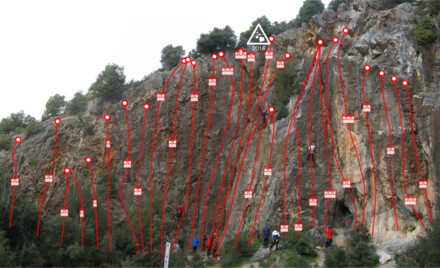 minitopo