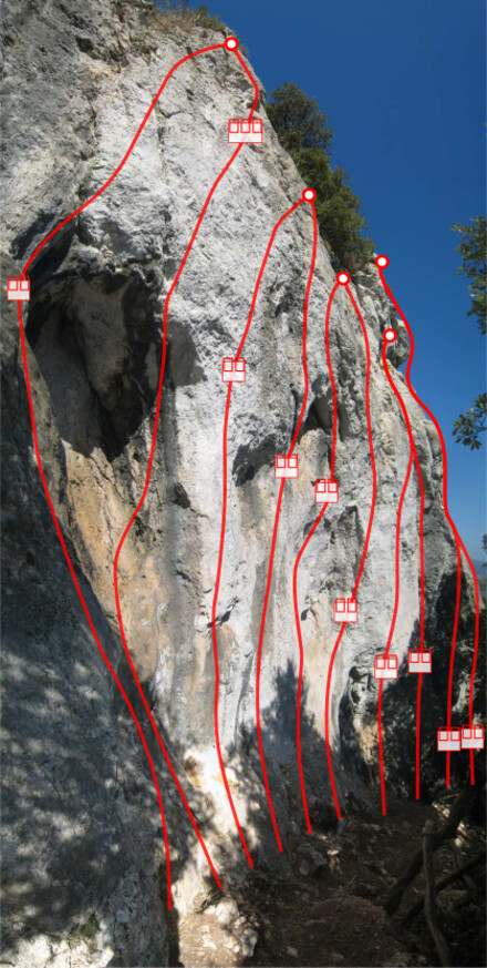 minitopo
