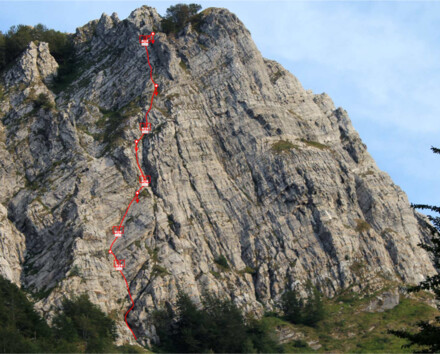 minitopo