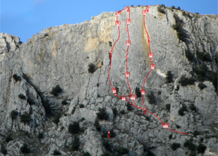 minitopo