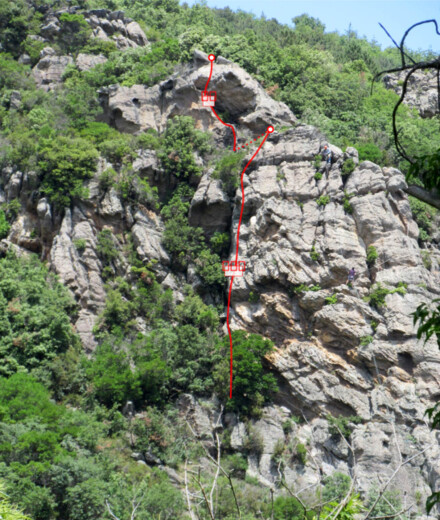 minitopo