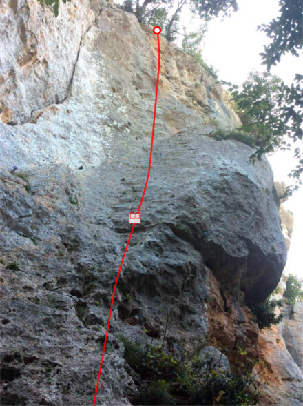 minitopo