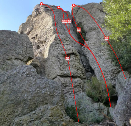 minitopo