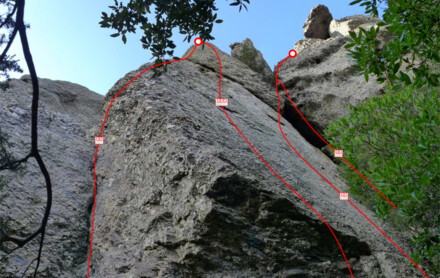 minitopo