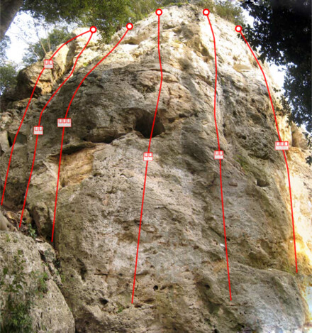 minitopo