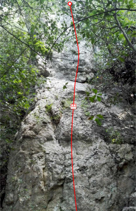 minitopo