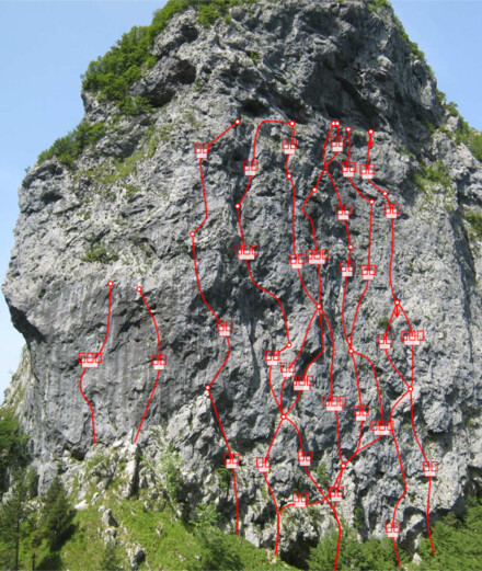 minitopo