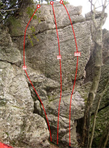 minitopo