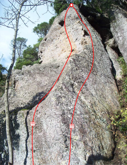 minitopo