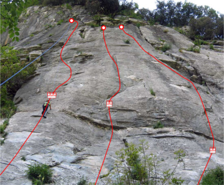 minitopo