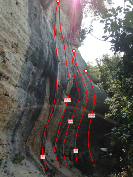 minitopo