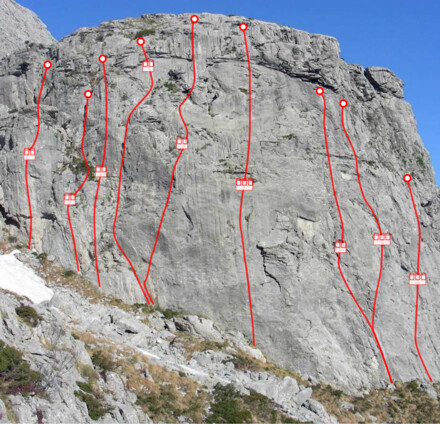 minitopo