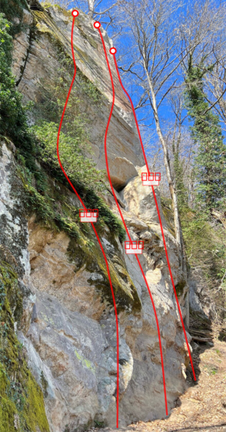 minitopo