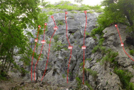 minitopo