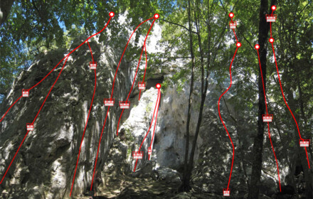 minitopo