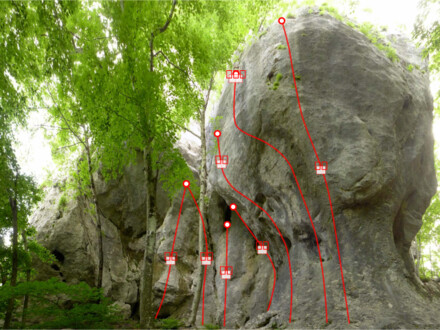 minitopo