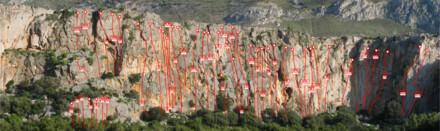 minitopo