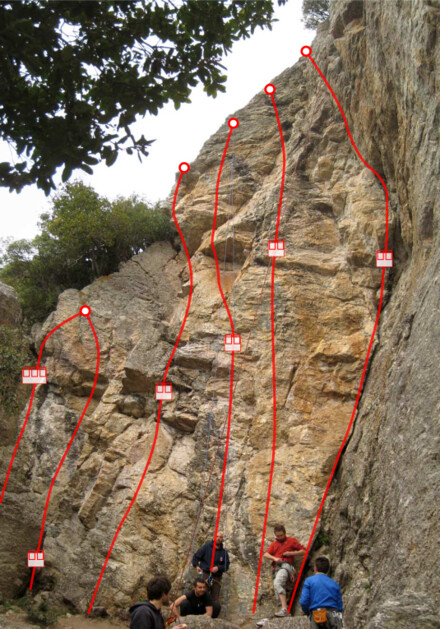 minitopo