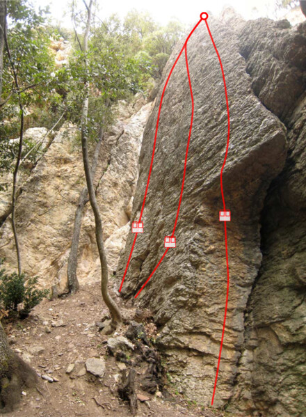 minitopo