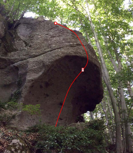 minitopo